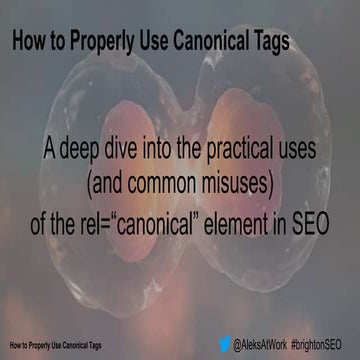How to Use Canonical Tags for SEO | Aleks Shklyar