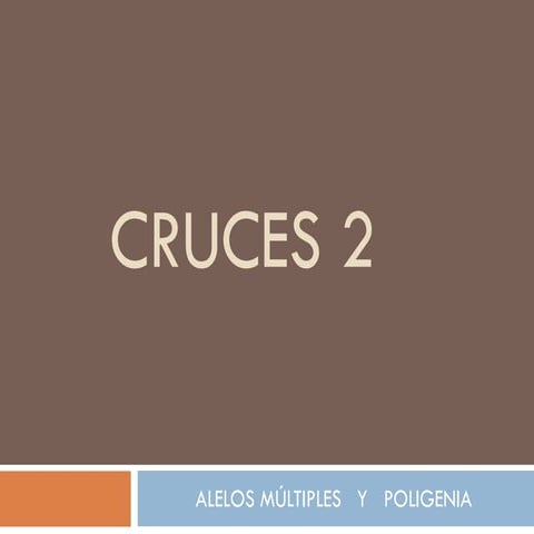 Alelos multiples y herencia poligenica