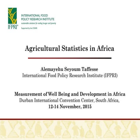 HLEG thematic workshop on Measurement of Well Being and Development in Africa...
