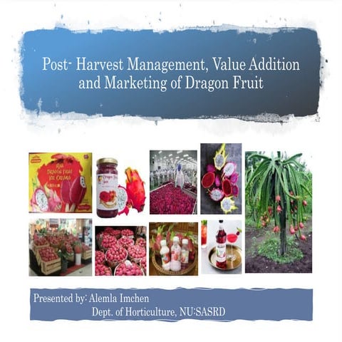 Post- Harvest Management, Value Addition and Marketing of Dragon Fruit.pptx