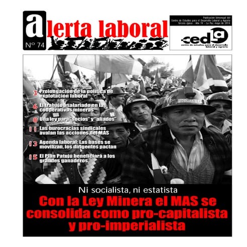 CEDLA Alerta laboral 74