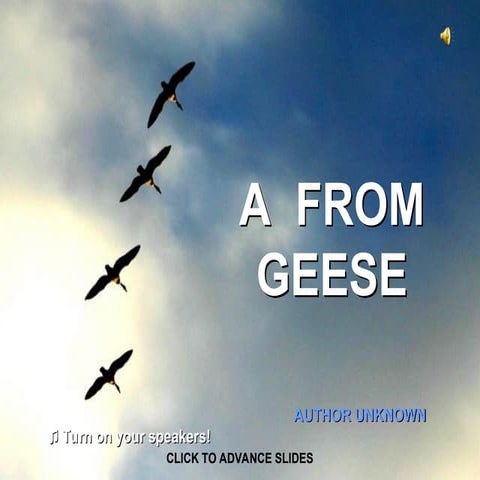 A Lesson from Geese On Team Work and Community.ppt