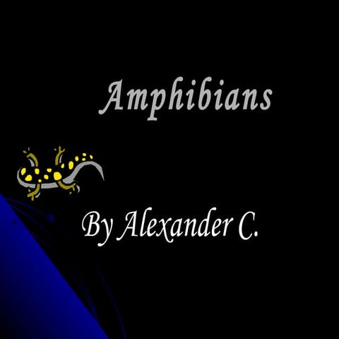 Amphibians 