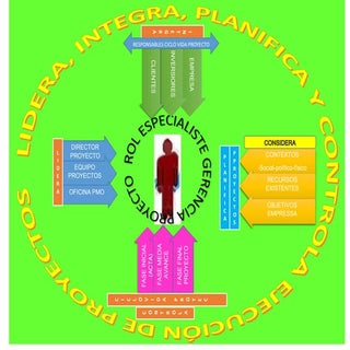MAPA: ROL, CICLO VIDA PROYECTO Y RE...