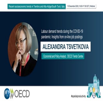 Labour demand trends during the COVID-19 pandemic: Insights from on-line job ...