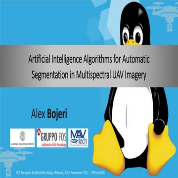 SFScon21 - Alex Bojeri - Artificial Intelligence Algorithms for Automatic Seg...