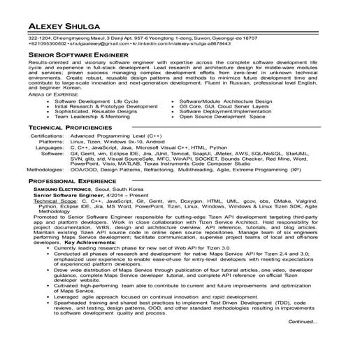 Alex Shulga resume