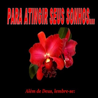 Alfabeto dos conselhos