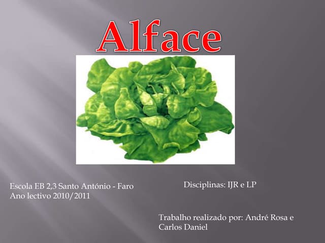 Alface