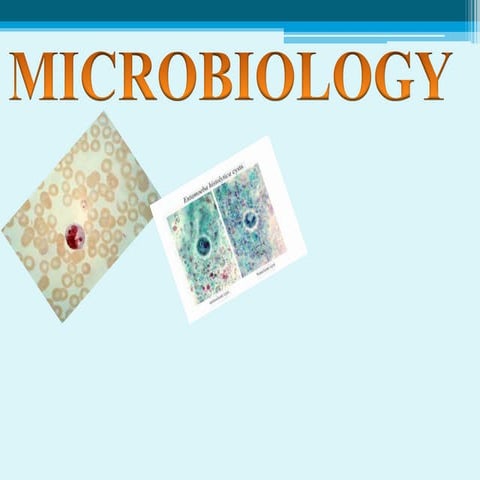 microbioliogy history scope spontaneous generation concept and role of microo...