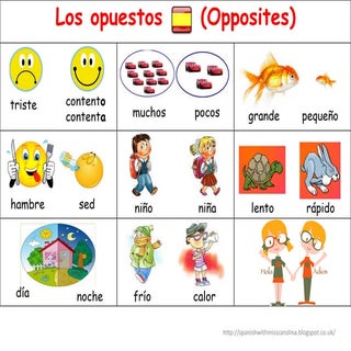 Alfombra palabras opuestos