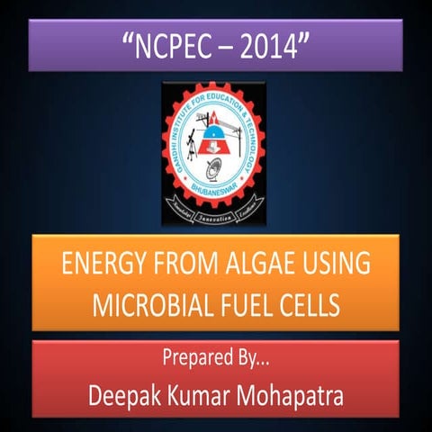 Energy From Algae Using Microbial Fuel Cells