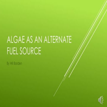 Algae