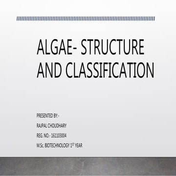 Algae