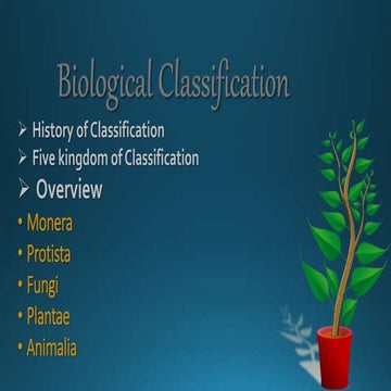 five kingdom classification