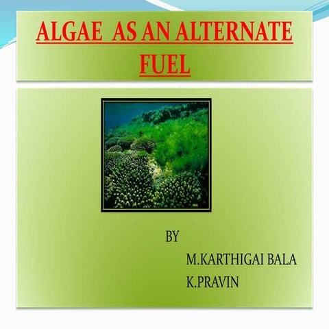 Algae as alternative fuel