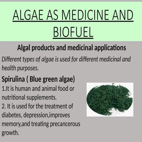 Algae as medicine and biofuel. Presentation