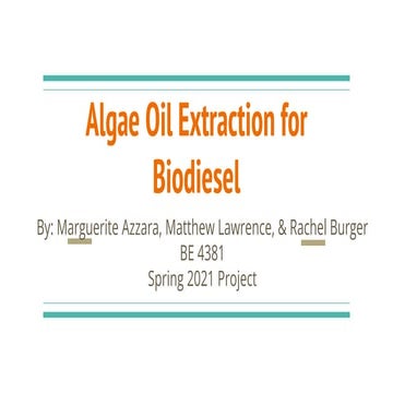 Algae biodiesel project