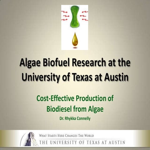 Algae Biofuel Research at the University of Texas - Rhykka Connelly - April 2010