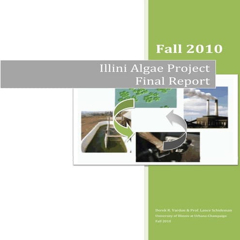 Algae Biofuels Project Final report.pdf penelitian