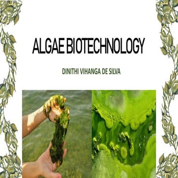 Algae Biotechnology