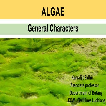 Algae bsc 1