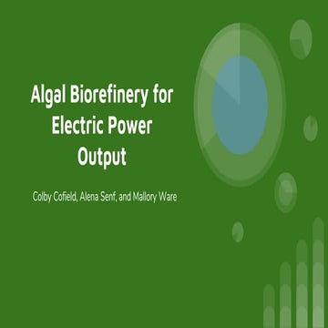 Algal Biorefinery for Electrical Power Output
