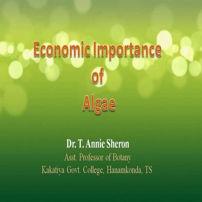 Algae Economic Importance