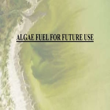 Algae fuel for future use