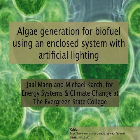 Algae generation for biofuel using an enclosed system