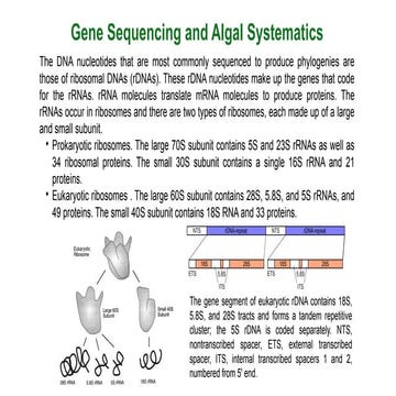 Genome sequencing in Algae, methods.pptx