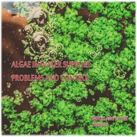 Problems and Control of Algae in water supply