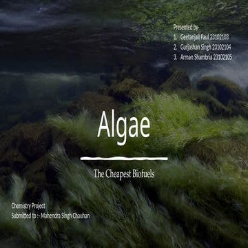 algae pppt.pptx jbsjasjASAIFUZJHDHDusaCFJHDSIUCC