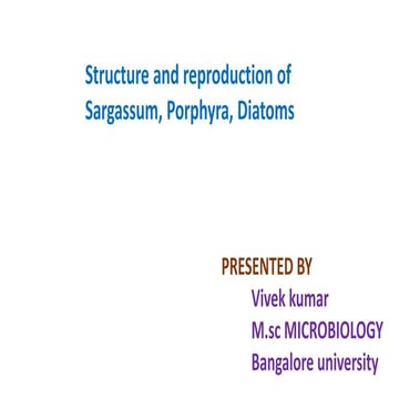 Algae (Sargassam , Porphyra , and Diatoms)