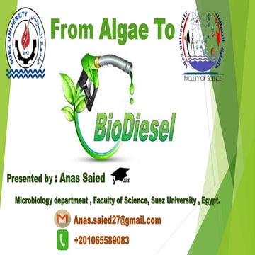 Algal biodiesel