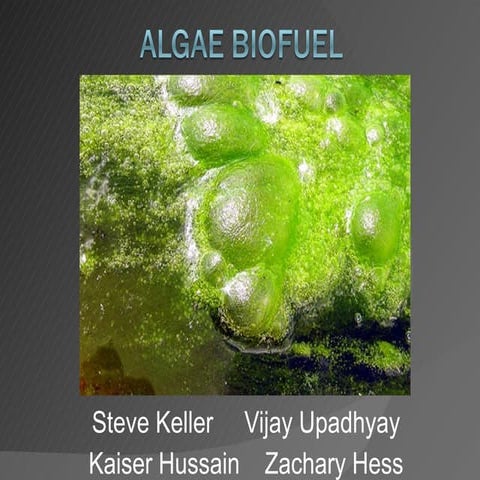 Algal Biofuel