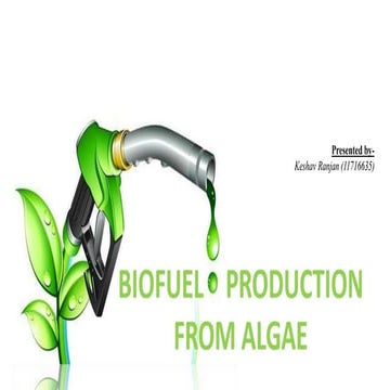 Algal Biofuel Production