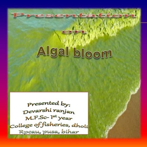Algal bloom