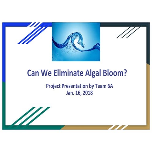 Algae bloom control 
