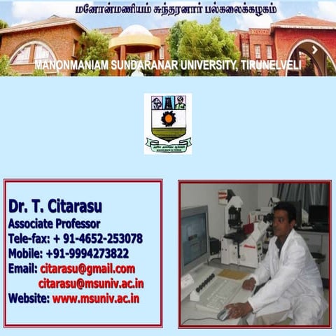 Algal natural products