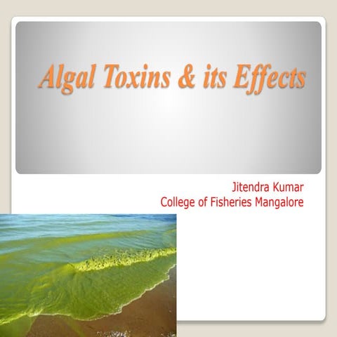 Algal toxins &amp; its effects