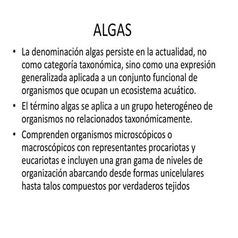 ALGAS PENONE.pptx