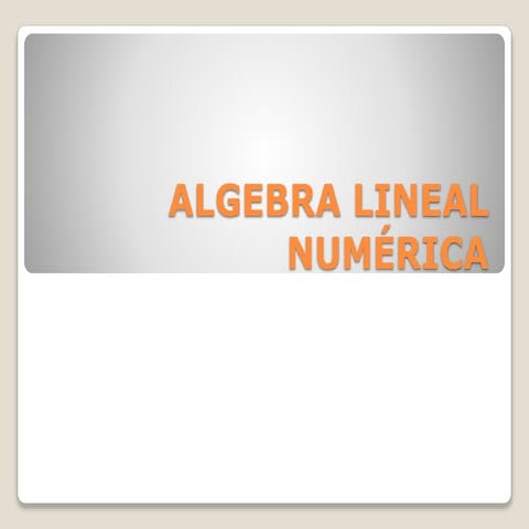 Algebra lineal numérica