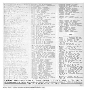 Algemeen adresboek Nes 1928