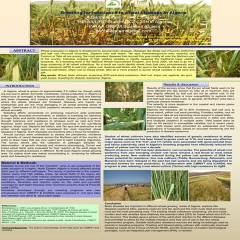 Breeding for resistance to wheat diseases in Algeria | PDF