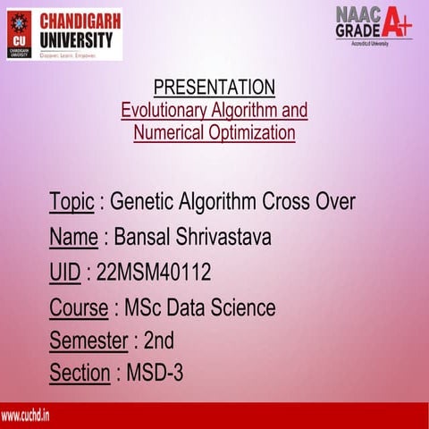 algo presentation.pptx