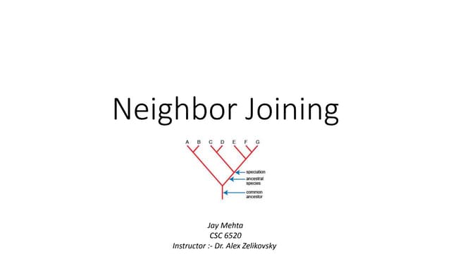 Algorithm research project neighbor joining