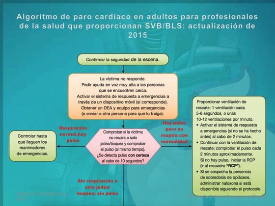 la-frecuencia-cardiaca-ppt
