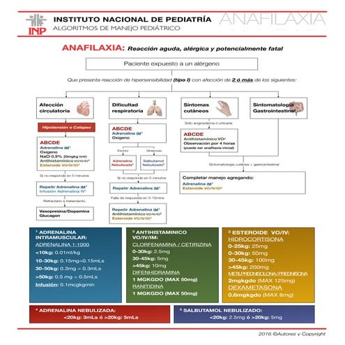 Algoritmo sobre el manejo de la Anafilaxia en pediatría | PDF
