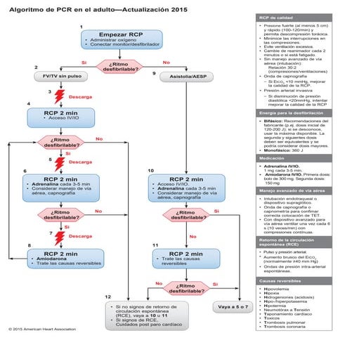 Algoritmos AHA 2015 ESPAÑOL